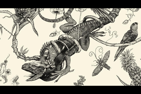 Iguana